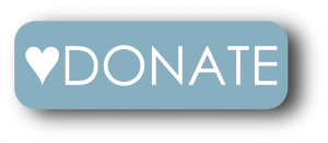 Donate Button